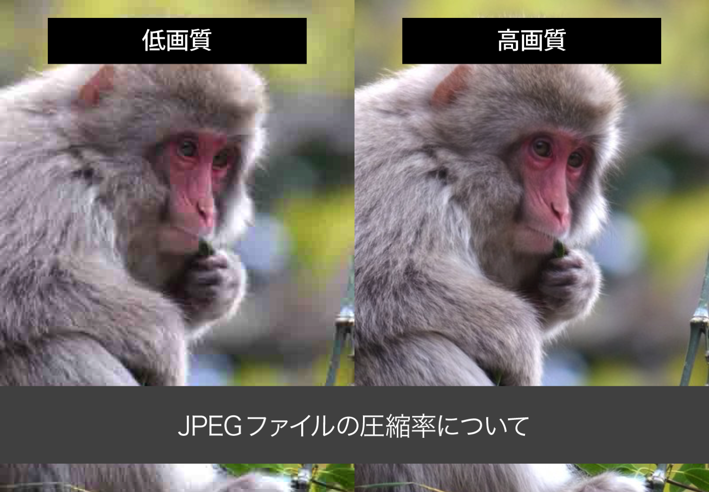 JPEG画像の圧縮率